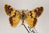  ( - AOCLep02646)  @11 [ ] Copyright (2022) A.S. Ortiz Unspecified
