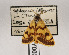  ( - AOCLep02649)  @11 [ ] Copyright (2022) A.S. Ortiz Unspecified