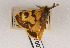  ( - AOCLep02650)  @11 [ ] Copyright (2022) A.S. Ortiz Unspecified