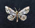  ( - AOCLep02703)  @11 [ ] Copyright (2022) A.S. Ortiz Unspecified