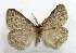  ( - AOCLep02722)  @11 [ ] Copyright (2022) A.S. Ortiz Unspecified
