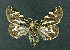  ( - AOCLep02760)  @11 [ ] Copyright (2022) A.S. Ortiz Unspecified
