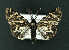  ( - AOCLep02761)  @11 [ ] Copyright (2022) A.S. Ortiz Unspecified