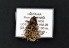  ( - AOCLep02762)  @11 [ ] Copyright (2022) A.S. Ortiz Unspecified