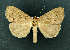  ( - AOCLep02771)  @11 [ ] Copyright (2022) A.S. Ortiz Unspecified
