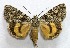  ( - AOCLep02797)  @11 [ ] Copyright (2022) A.S. Ortiz Unspecified