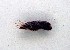 ( - AOCLep02854)  @11 [ ] Copyright (2023) A.S. Ortiz Unspecified