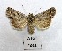  ( - AOCLep02874)  @11 [ ] Copyright (2023) A.S. Ortiz Unspecified