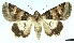  ( - AOCLep02902)  @11 [ ] Copyright (2023) A.S. Ortiz Unspecified