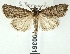  ( - AOCLep02905)  @11 [ ] Copyright (2023) A.S. Ortiz Unspecified