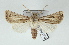  ( - AOCLep02909)  @11 [ ] Copyright (2023) A.S. Ortiz Unspecified