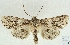  ( - AOCLep02929)  @11 [ ] Copyright (2023) A.S. Ortiz Unspecified