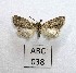  ( - AOCLep02949)  @11 [ ] Copyright (2023) A.S. Ortiz Unspecified