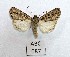  ( - AOCLep02966)  @11 [ ] Copyright (2023) A.S. Ortiz Unspecified