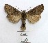  ( - AOCLep02972)  @11 [ ] Copyright (2023) A.S. Ortiz Unspecified