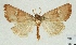  ( - AOCLep02999)  @11 [ ] Copyright (2023) A.S. Ortiz Unspecified