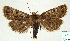  ( - AOCLep03003)  @11 [ ] Copyright (2023) A.S. Ortiz Unspecified