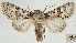  ( - AOCLep03016)  @11 [ ] Copyright (2023) A.S. Ortiz Unspecified