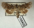  ( - AOCLep03028)  @11 [ ] Copyright (2023) A.S. Ortiz Unspecified