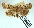  ( - AOCLep03037)  @11 [ ] Copyright (2023) A.S. Ortiz Unspecified