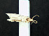  ( - AOCLep03049)  @11 [ ] Copyright (2024) A.S. Ortiz Unspecified