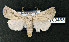  ( - AOCLep03083)  @11 [ ] Copyright (2024) A.S. Ortiz Unspecified