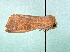  ( - AOCLep03094)  @11 [ ] Copyright (2024) A.S. Ortiz Unspecified