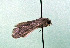  ( - AOCLep03100)  @11 [ ] Copyright (2024) A.S. Ortiz Unspecified