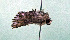  ( - AOCLep03121)  @11 [ ] Copyright (2024) A.S. Ortiz Unspecified
