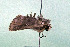  ( - AOCLep03122)  @11 [ ] Copyright (2024) A.S. Ortiz Unspecified