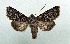  ( - AOCLep03151)  @11 [ ] Copyright (2025) A.S. Ortiz Unspecified