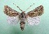  ( - AOCLep03152)  @11 [ ] Copyright (2025) A.S. Ortiz Unspecified
