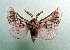  ( - AOCLep03156)  @11 [ ] Copyright (2025) A.S. Ortiz Unspecified