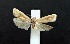  ( - AOCLep03179)  @11 [ ] Copyright (2025) A.S. Ortiz Unspecified