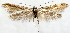  ( - AOCLep03206)  @11 [ ] Copyright (2025) J. Gaston Unspecified
