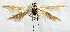  ( - AOCLep03207)  @11 [ ] Copyright (2025) J. Gaston Unspecified