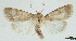  ( - AOCLep03242)  @11 [ ] Copyright (2025) A.S. Ortiz Unspecified