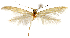  ( - AOCLep03248)  @11 [ ] Copyright (2025) A.S. Ortiz Unspecified