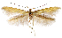  ( - AOCLep03249)  @11 [ ] Copyright (2025) A.S. Ortiz Unspecified