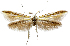  ( - AOCLep03256)  @11 [ ] Copyright (2025) A.S. Ortiz Unspecified