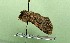  ( - AOCLep03288)  @11 [ ] Copyright (2025) A.S. Ortiz Unspecified