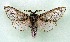  ( - AOCLep03299)  @11 [ ] Copyright (2025) A.S. Ortiz Unspecified