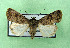  ( - AOCLep03332)  @11 [ ] Copyright (2025) A.S. Ortiz Unspecified