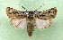  ( - AOCLep03349)  @11 [ ] Copyright (2025) A.S. Ortiz Unspecified