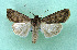  ( - AOCLep03352)  @11 [ ] Copyright (2025) A.S. Ortiz Unspecified