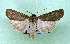  ( - AOCLep03353)  @11 [ ] Copyright (2025) A.S. Ortiz Unspecified