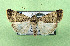  ( - AOCLep03357)  @11 [ ] Copyright (2025) A.S. Ortiz Unspecified