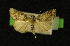  ( - AOCLep03421)  @11 [ ] Copyright (2025) A.S. Ortiz Unspecified