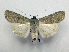  ( - AOCLep03443)  @11 [ ] Copyright (2025) A.S. Ortiz Unspecified