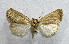  ( - AOCLep03448)  @11 [ ] Copyright (2025) A.S. Ortiz Unspecified